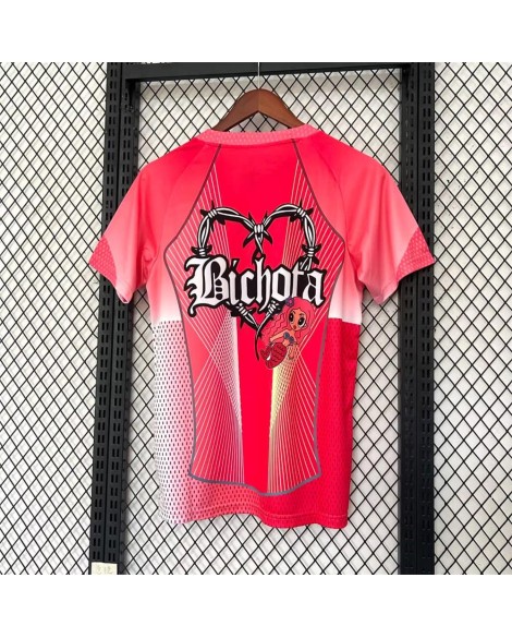 Barcelona Sondertrikot 25/26