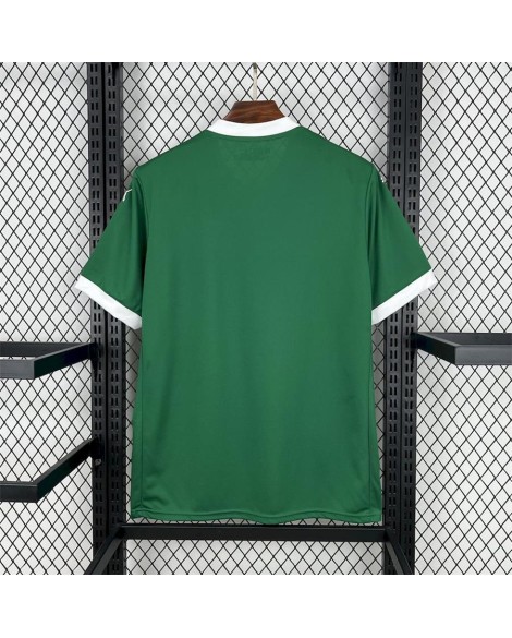 Palmeiras 2025/26 Heimtrikot
