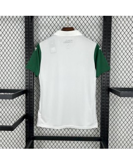 Palmeiras 2025/26 Auswärtstrikot