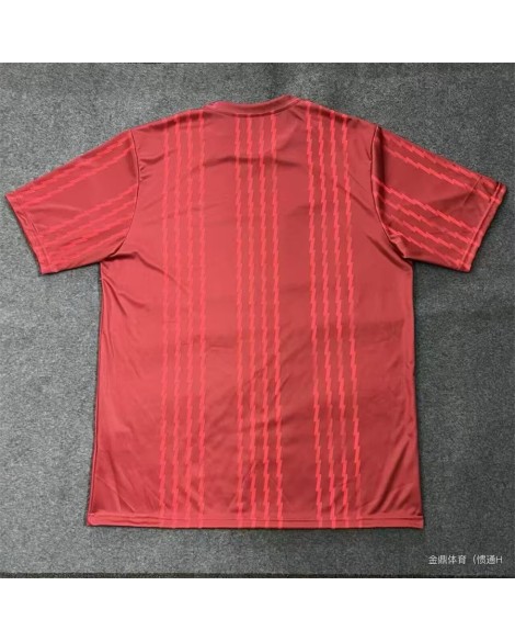 Arsenal-Sondertrikot 2526