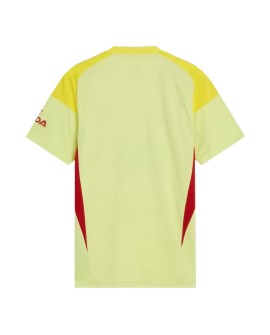 Arsenal Torwarttrikot 2025/26 Hellgelb