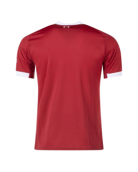Liverpool Trikot 2025/26 Home - Player