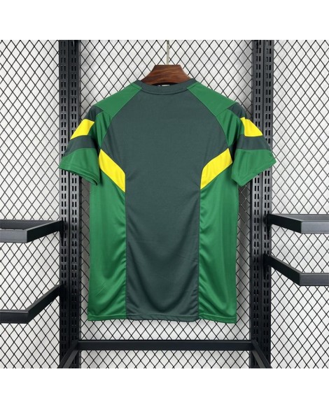 Celtic 2024/25 Special Edition Trikot
