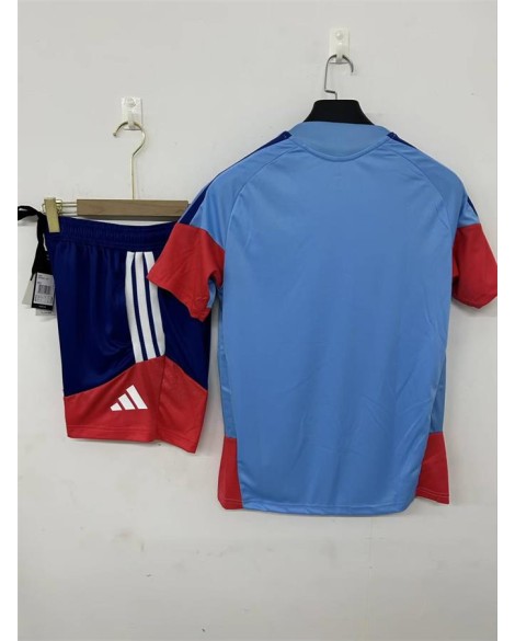 Trainingsanzug der japanischen Nationalmannschaft 2627 - Blau (Trikot + Shorts)