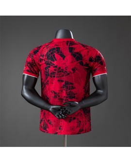 Kanada 2026 Weltmeisterschaft Sondertrikot - Player