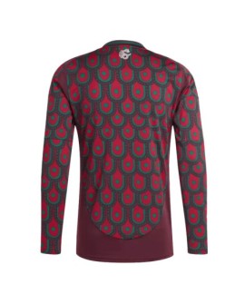 Mexiko Copa America 2024 Langarm-Heimtrikot