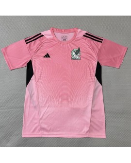 Torwarttrikot Mexico 2026 - Rosa