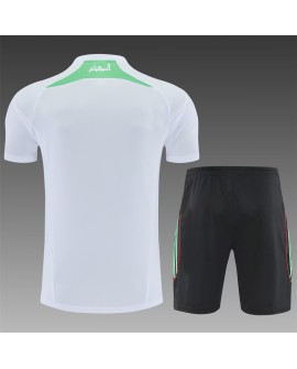 Algerien Trainingsanzug 2627 - Weiß (Trikot + Shorts)