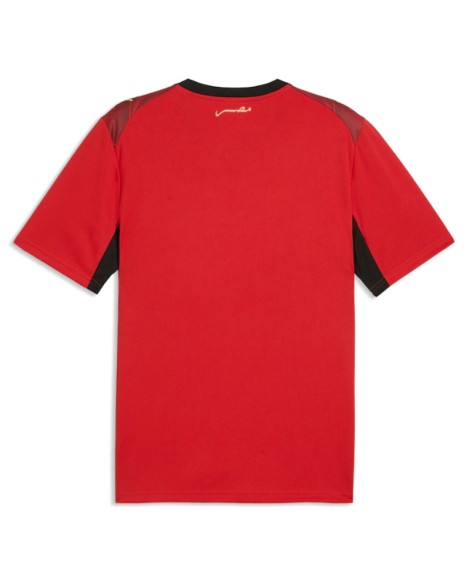 Egypt Heimtrikot 2026