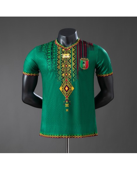 Grünes Trikot der Saison 25/26 von Mali - Player