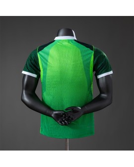 Heimtrikot Nigeria 2026 - Player