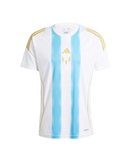 Messi Argentinien Pitch 2 Street 2024 Trainingstrikot – Blau und Weiß