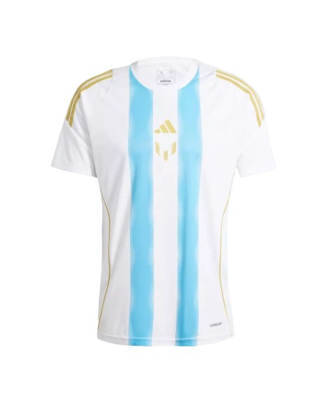 Messi Argentinien Pitch 2 Street 2024 Trainingstrikot – Blau und Weiß