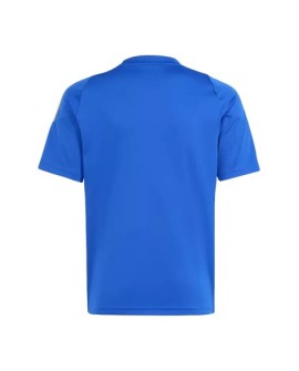 Messi Argentinien Pitch 2 Street 2024 Trainingstrikot – Blau
