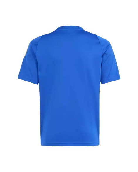 Messi Argentinien Pitch 2 Street 2024 Trainingstrikot – Blau