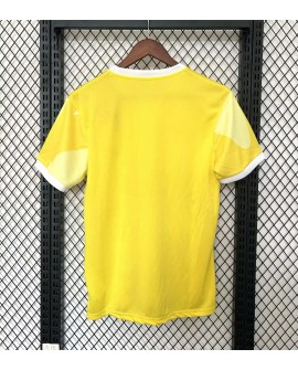 Brasilien Trikot 2025/26 Sonderedition