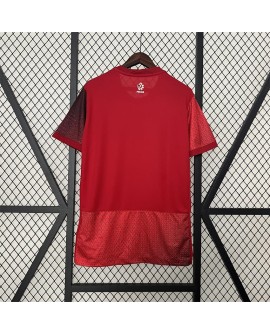Polen Auswärtstrikot EURO 2024