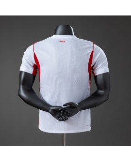 Türkiye Team 2026/27 Auswärtstrikot - Player