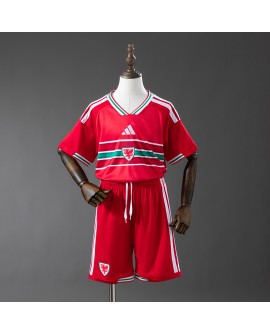 Wales 2026 Heimtrikot - Kind