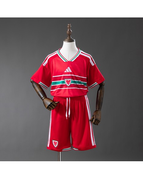 Wales 2026 Heimtrikot - Kind