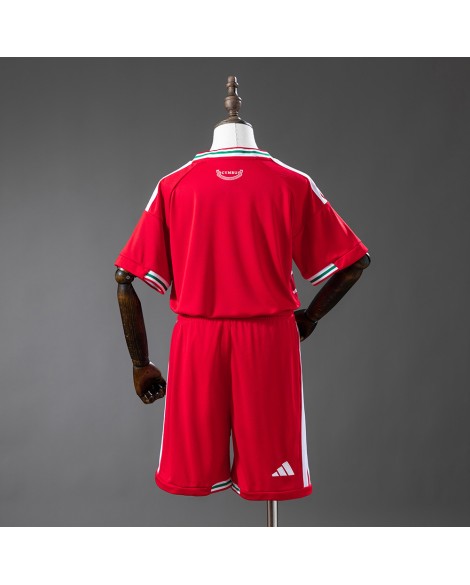 Wales 2026 Heimtrikot - Kind