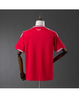 Wales 2026 Heimtrikot