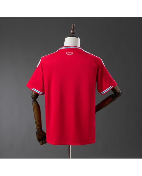 Wales 2026 Heimtrikot