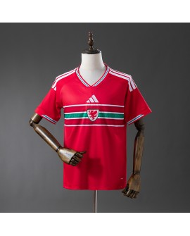 Wales 2026 Heimtrikot