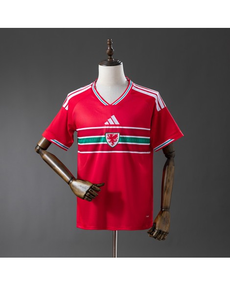 Wales 2026 Heimtrikot