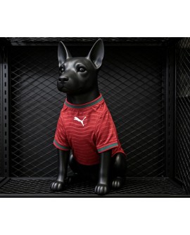 Portugal Nationalmannschafts-Haustier-Trikot